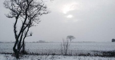 Barrie Uses Landfill for Snow Storage During Heavy Winter