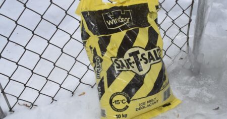 Salt Shortage Forces Ontario Snow Removal Workers to Leave