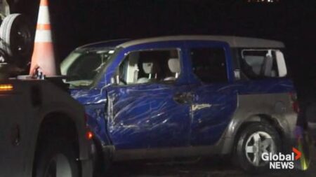 Driver Rescued After Vehicle Plunges Into Rice Lake