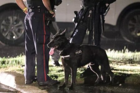 Police Dog Injured During Robbery Probe in Burlington