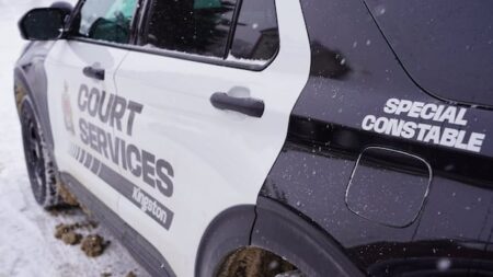 Two Special Constables Admit to Assault at Courthouse