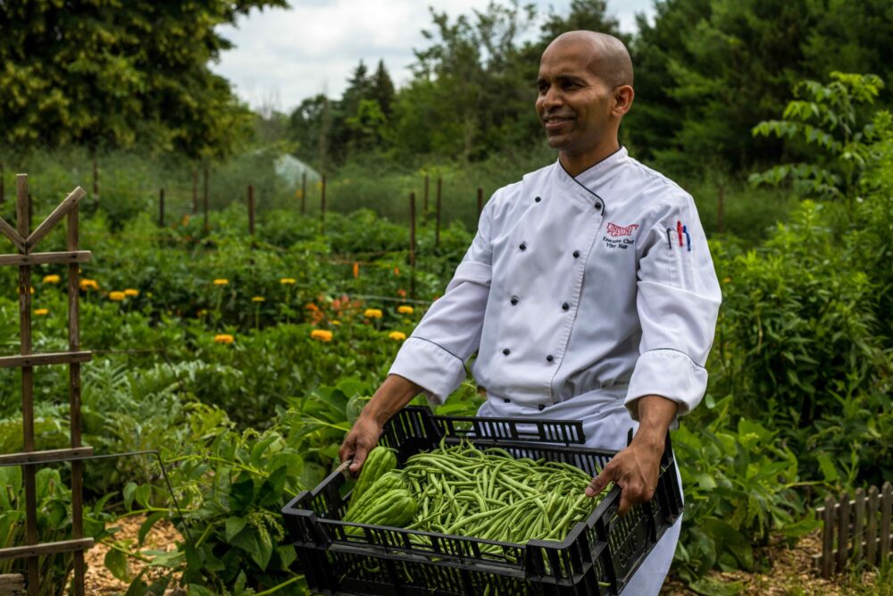 A chef in a white uniform stands in a lush vegetable garden holding a large black crate filled with freshly picked green beans. Rows of plants and yellow flowers stretch into the background beneath a cloudy sky.