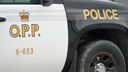 Snowmobile Accident Claims Life of Whitby Man