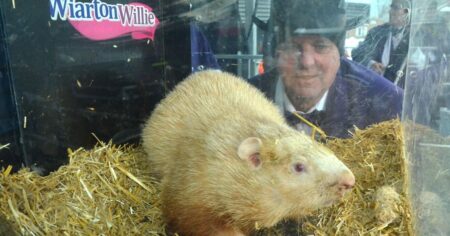 Groundhogs Predict an Early Spring for Canada