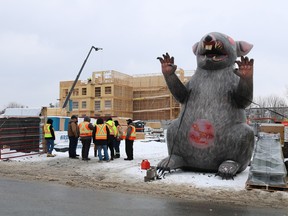 A giant inflatable rat outside of a construction site