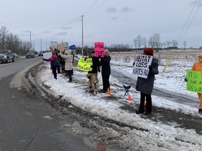 protestors on roadside