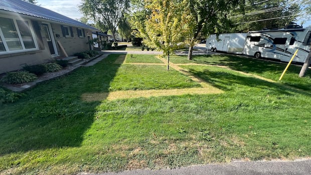 Nurse Facing Suspension Linked to Lawn Swastika Incident Nurse Facing Suspension Linked to Lawn Swastika Incident