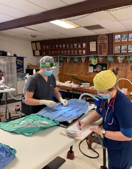 Mobile Clinic Returns to Renfrew County for Spay/Neuter Services