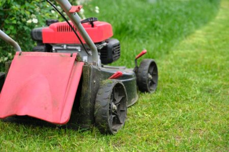 Neighbors Outraged by Swastika on Lawn