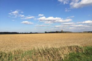 National Farmland Prices Increase, Ontario Growth Slows