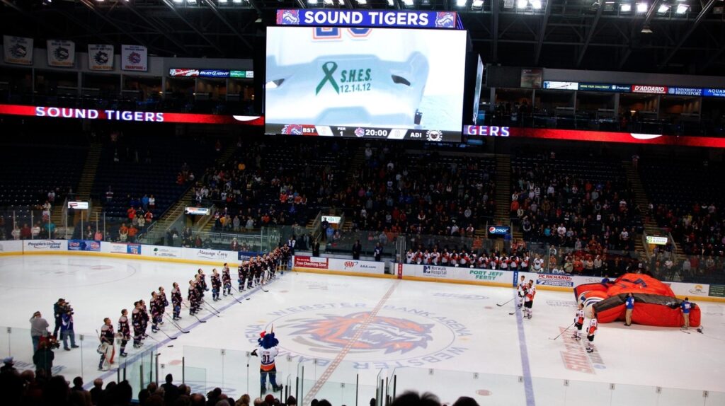 Islanders Plan to Relocate AHL Team to Hamilton