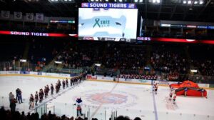 Islanders Plan to Relocate AHL Team to Hamilton