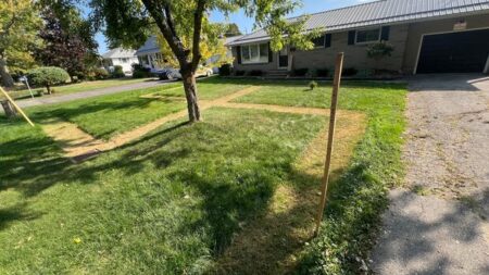 Symbol of Hate Cleared from St. Thomas Lawn