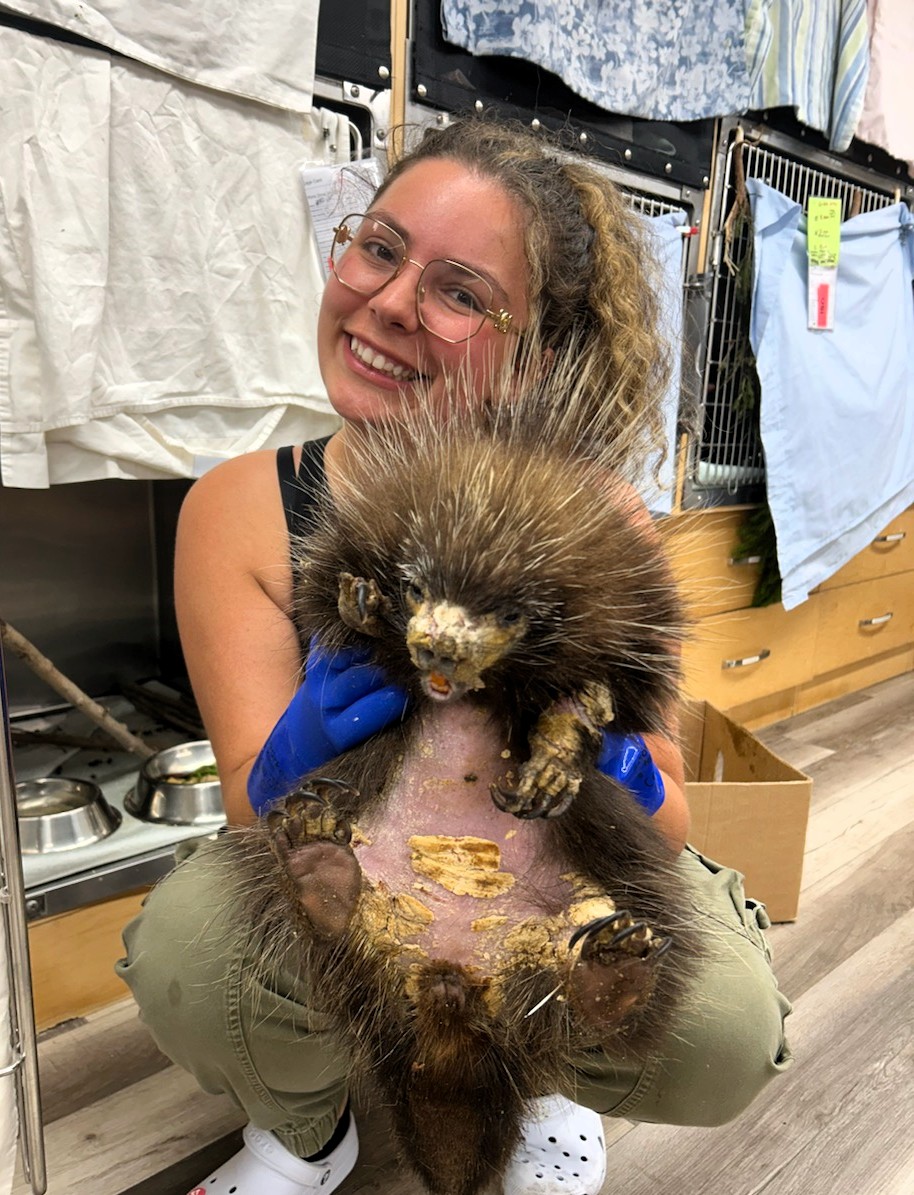 OVC students Julia Heyder squats while holding a porcupine