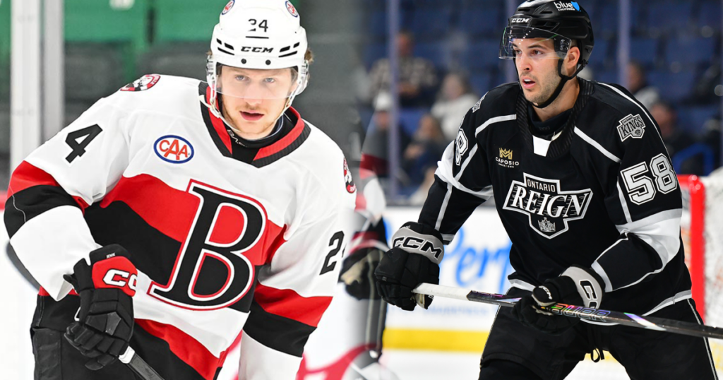 Kings Trade for Jan Jeník from Senators