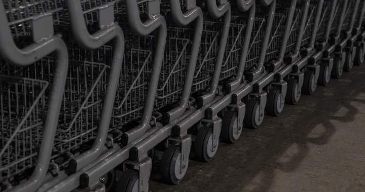 New Fines for Abandoned Shopping Carts in Brampton New Fines for Abandoned Shopping Carts in Brampton