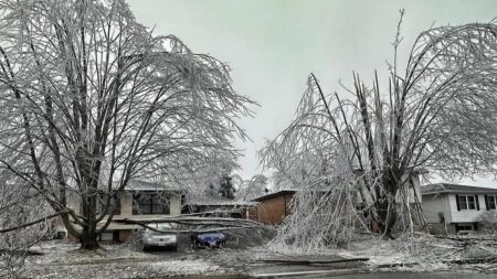 Support for Peterborough Following Last Year’s Ice Storm