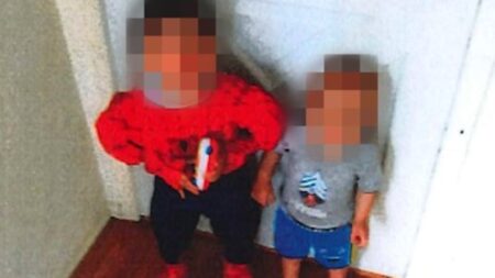 Advocates Call Attention to Failures in Ontario Child Welfare System