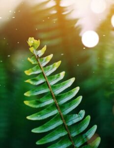 Remembering Peter Miller