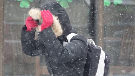 Snowstorm Causes Power Outages and Road Closures