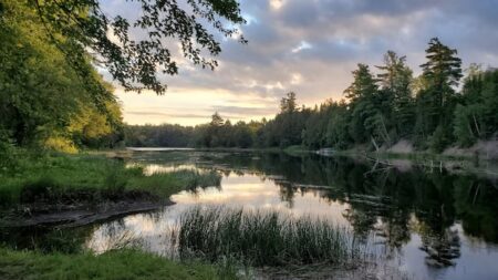 Concerns Emerge Over Ontario Conservation Authorities Merger