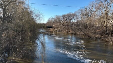 Warnings Issued After Multiple River Rescues in London