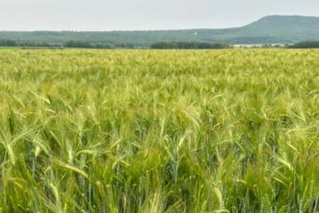 Local Farmers Gather for Spring Conference in Thunder Bay