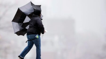 Strong Winds Prompt Advisories for Windsor-Essex Area