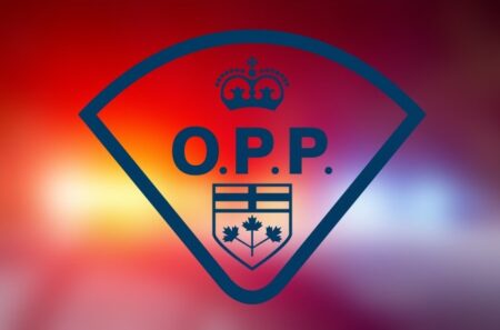 Arrests Made After Domestic Dispute in Peterborough County