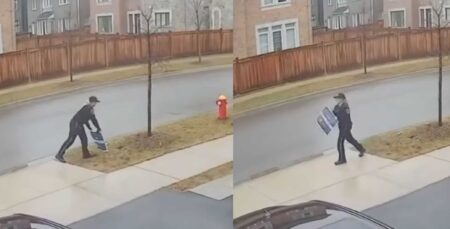 Oakville’s Election Sign Controversy Sparks Debate Oakville’s Election Sign Controversy Sparks Debate