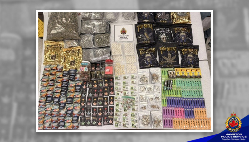 Drugs, Weapons, and Dogs Discovered in Illegal Dispensary