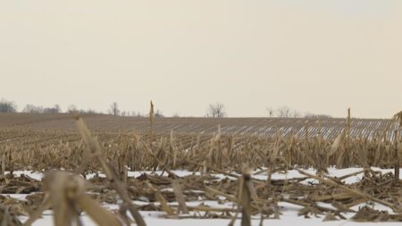 Concerns Rise Over Proposed Development in Pickering