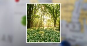 Remembering Charles Marvin, 83