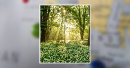 Remembering Charles Marvin, 83