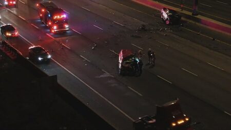 Tragic Wrong-Way Collision Claims Life