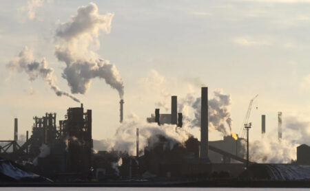 Hamilton’s Environment Group Critiques Ontario’s New Info Restrictions