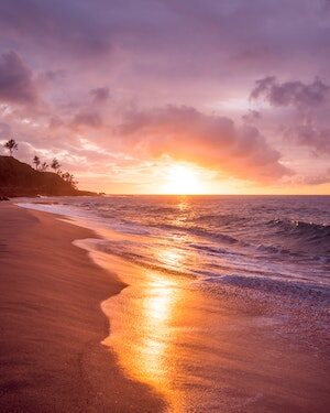 Marcia Hopkins Passes Away at 2026