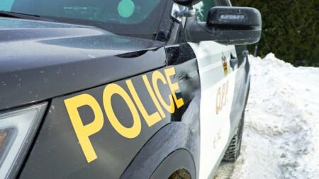 Police Arrest Suspect in Renfrew County Murder Case
