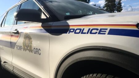 Man from Ontario Charged After P.E.I. Incident