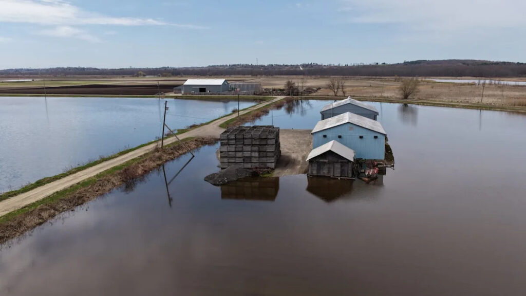 Flood Concerns Rise in Ontario’s Vegetable Growing Region