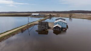 Flooding Threatens Ontario’s Vegetable Farmland