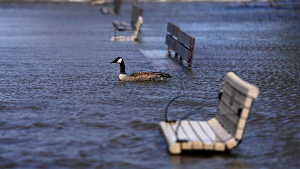 Water Levels Along Ottawa River Expected to Rise