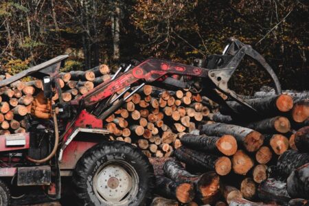 New 10-Year Plan for Ontario’s Forest Sector