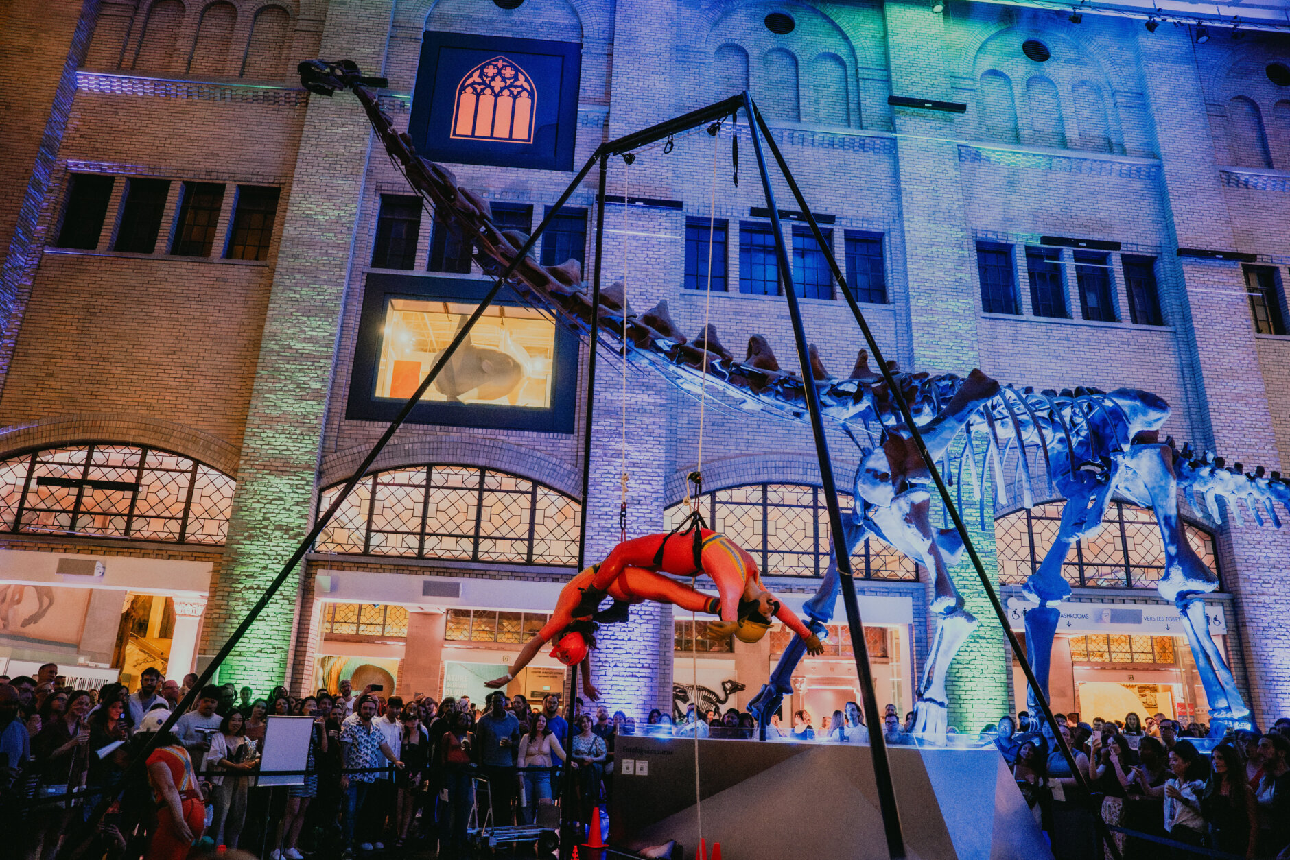 ROM After Dark event at the Royal Ontario Museum