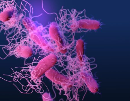 Health Officials Investigate Salmonella Cases in Hamilton