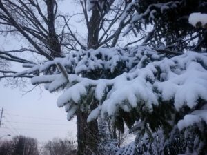 Potential Spring Snow This Weekend