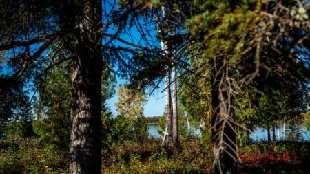 Drug Crisis Declared Emergency in Long Lake #58 First Nation