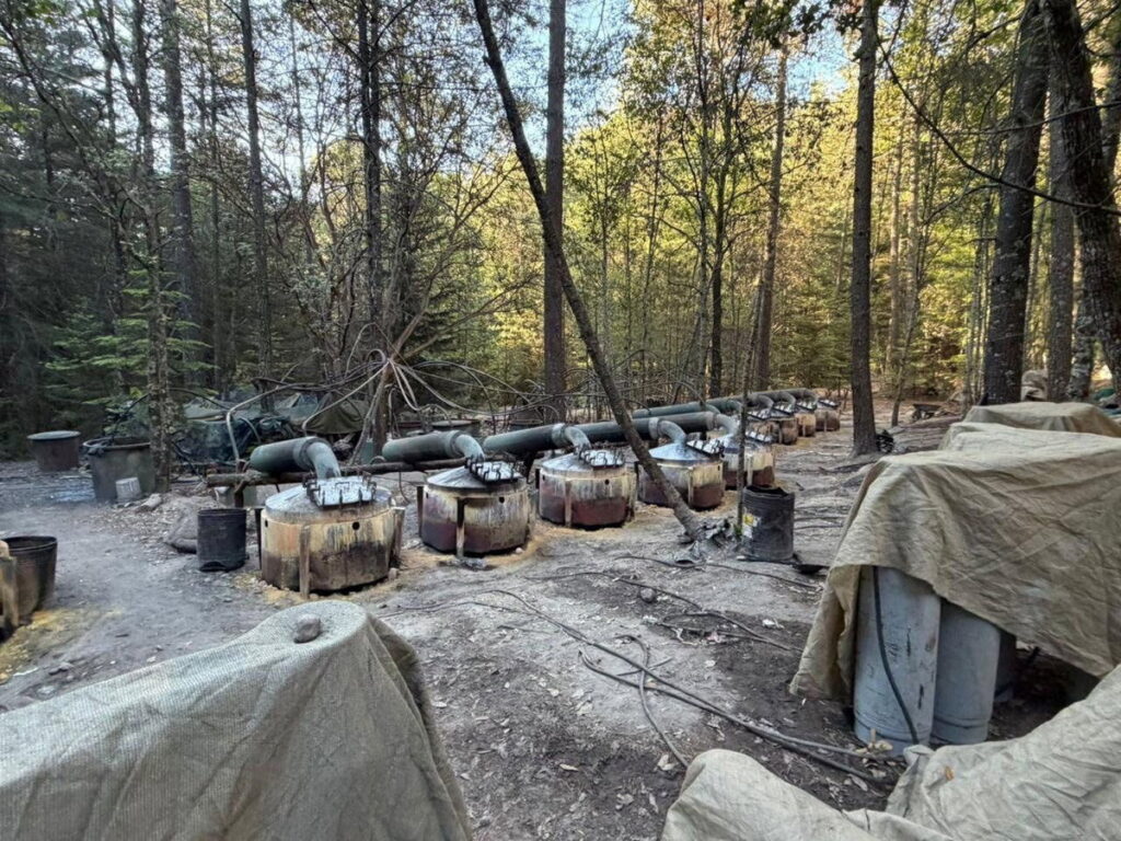 CIA Agents Die in Car Crash After Drug Operation in Mexico