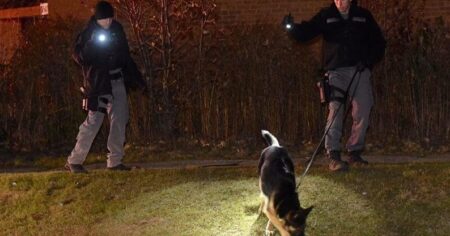 Oakville Man Attacked in Armed Robbery Incident