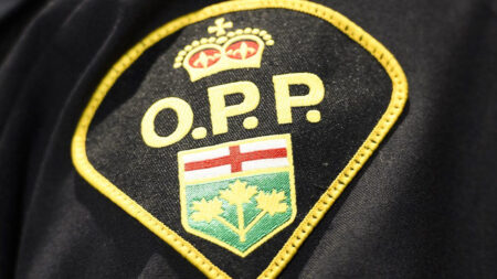 Tragic Incident on Hwy. 401 Claims Young Life